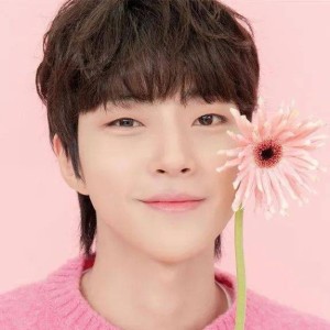 飞鸟和蝉的演奏视频