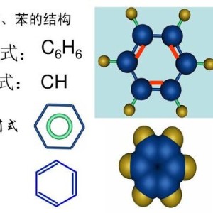 小老鼠的个人空间