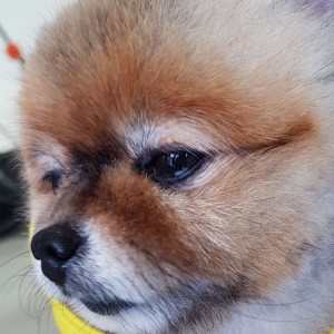 地球麻瓜代表的钢琴谱 地球麻瓜代表的钢琴谱
