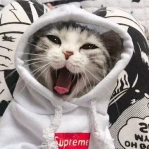 いつも何度でも的演奏视频