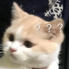 wenli的钢琴谱