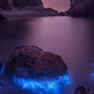 151****9617的钢琴谱