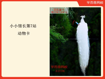不知的钢琴谱