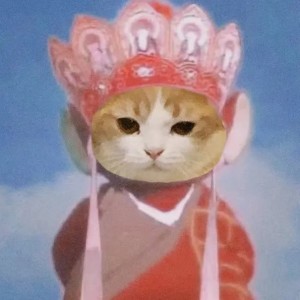 199****9816的钢琴谱
