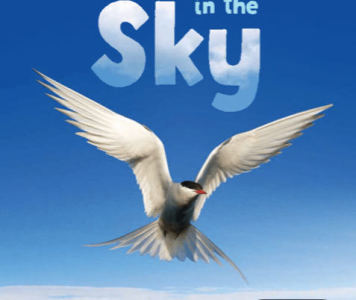 150****7007的个人空间