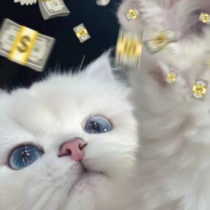活力大厦B
