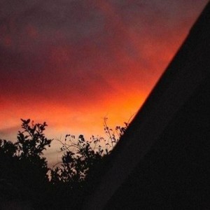 🌇的钢琴谱
