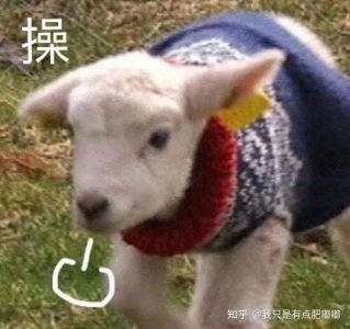 弹施坦威的羊的个人空间