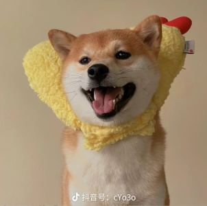 Y.的钢琴谱