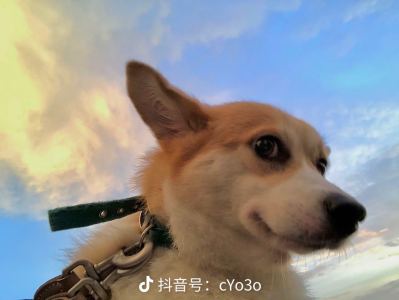 幻想即兴曲的演奏视频