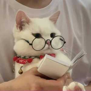 每天弹琴半小时的个人空间