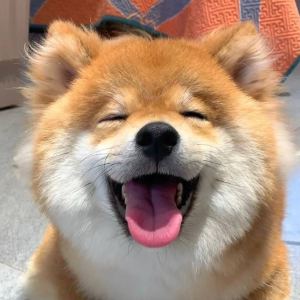 郴黎的钢琴谱