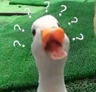 月城桃矢的钢琴谱