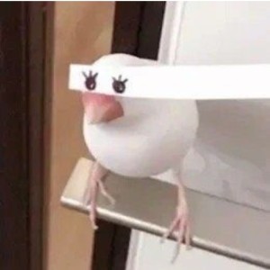 快去练琴的个人空间