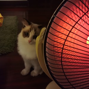 Summer的演奏视频