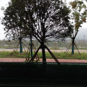 Megalovania的演奏视频