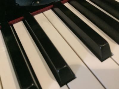 起风了的演奏视频