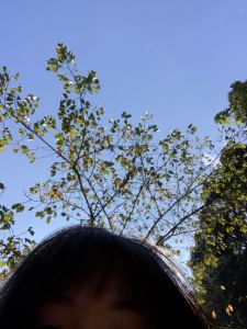 交换余生的演奏视频