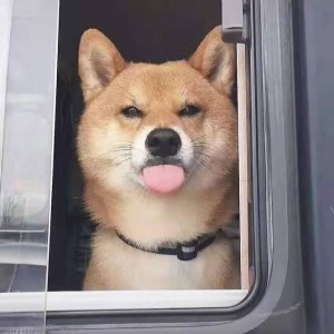 神烦狗的钢琴谱