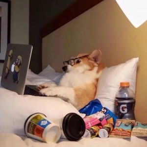 闪亮的山脉的演奏视频