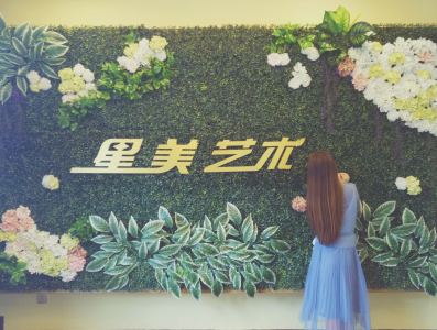 帕萨卡利亚的演奏视频