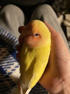 151****0640的钢琴谱