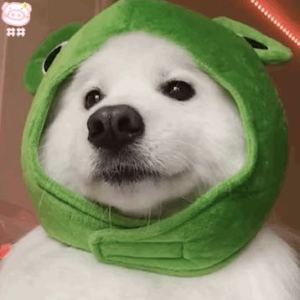 我是大脸的钢琴谱