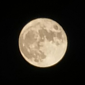 友情岁月的演奏视频