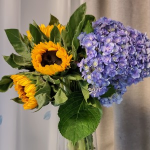 秋恋的演奏视频