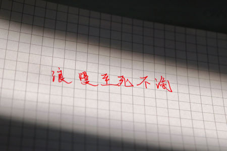 路小雨的演奏视频