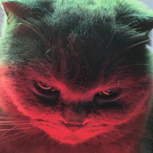 Hu___