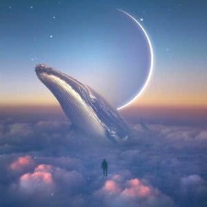 麥的鋼琴譜