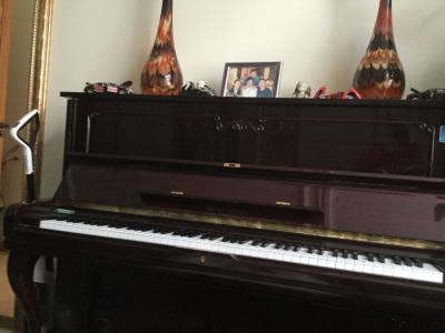 Can't Help Falling in Love with You的演奏视频