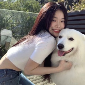 MY的钢琴谱