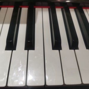 8级B组-D大调奏鸣曲的演奏视频