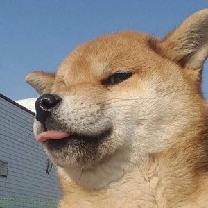 康???
