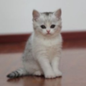 【FREE】lucky的演奏视频