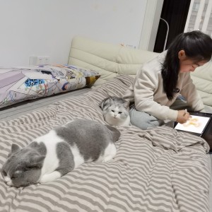 151****2015的钢琴谱
