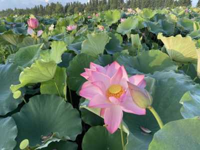 暗里着迷的演奏视频