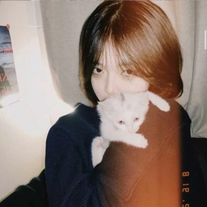 海阔天空的演奏视频