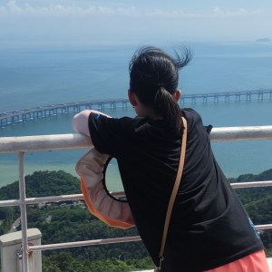 告白气球的演奏视频