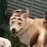 Kaxxz的钢琴谱