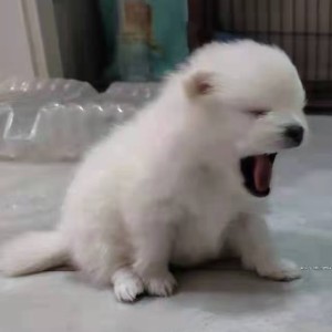 点点的个人空间