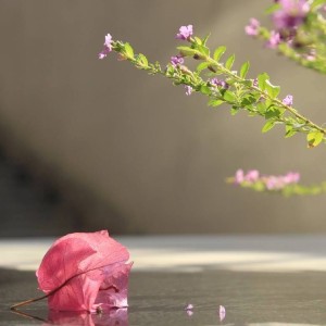 孤勇者的演奏视频