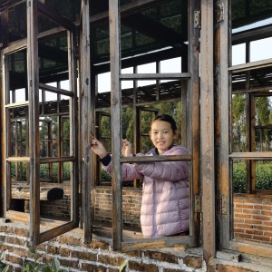 萱草花的演奏视频