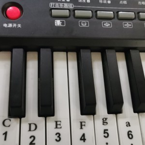 小温学琴的钢琴谱