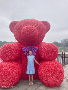 所念皆星河的演奏视频