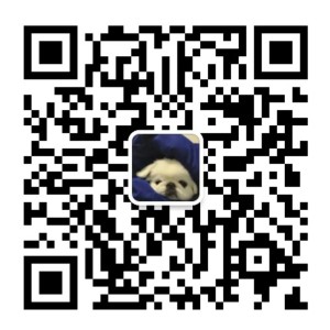 y_的钢琴谱