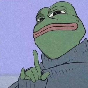 的演奏视频