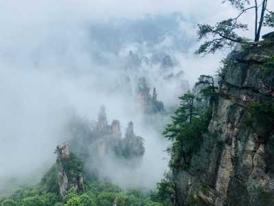 梦返的演奏视频